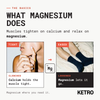 What magnesium does — muscles tighten on calcium and relax on magnesium